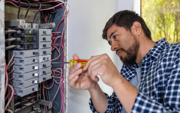 Best Electric Panel Repair  in Lake City, FL